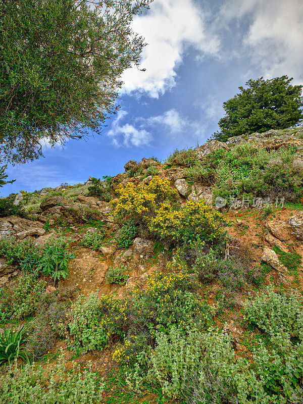 Wonderful Crete - island of Greece